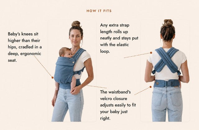 How the carrier fits: front and back view with construction details